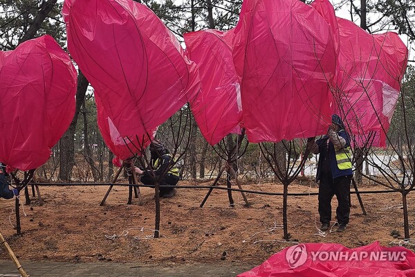 신안=연합뉴스